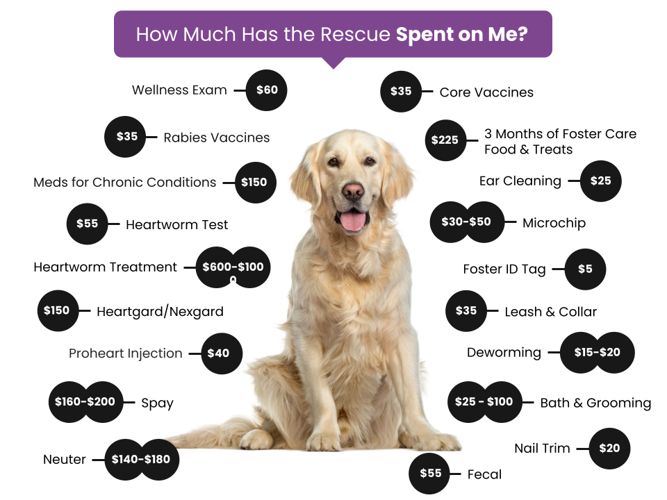 Fee Graphic-Dogs