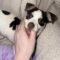 Marlee