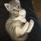 Little Lily