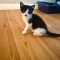 Charlotte
